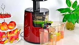 20 meilleurs extracteurs de jus à tarière