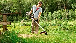20 meilleurs tondeuses à essence