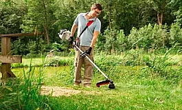 20 meilleurs tondeuses à essence