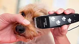 10 meilleures tondeuses pour chiens