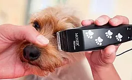 10 meilleures tondeuses pour chiens