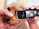 10 meilleures tondeuses pour chiens
