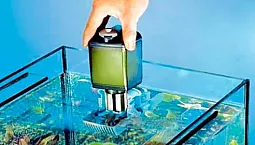 10 meilleurs filtres d'aquarium