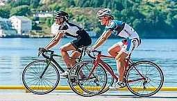 Les 15 meilleurs vélos de route de 2020
