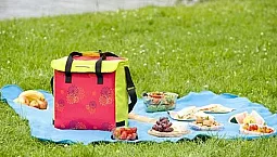 Top 5 des marques de sacs isothermes