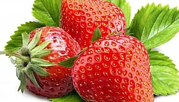 12 meilleures variétés de fraises pour la région de Moscou