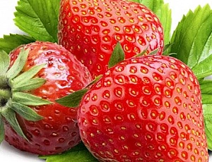 12 meilleures variétés de fraises pour la région de Moscou