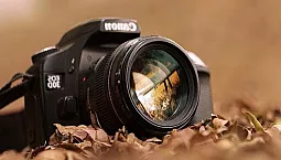 15 meilleurs appareils photo numériques