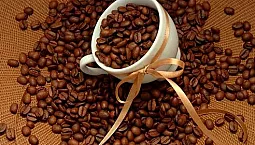 Les 20 meilleures marques de café