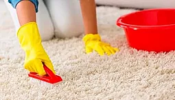Top 10 des nettoyeurs de tapis