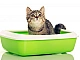 20 meilleures litières pour chats