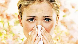 Top 10 des gouttes contre les allergies