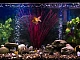 Top 10 des compresseurs d'air d'aquarium