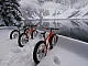 6 meilleurs fabricants de fatbike