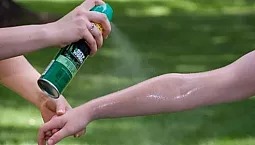 10 meilleurs remèdes après une piqûre de moustique