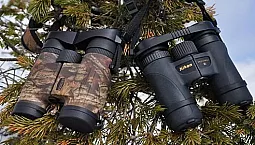 10 meilleures jumelles pour la chasse et la pêche