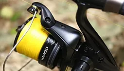 Top 10 des compagnies de lignes de pêche