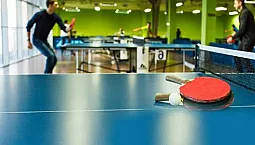 Top 5 des entreprises de tennis de table