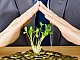 Top 10 des banques pour les dépôts