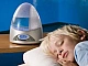 Les 15 meilleurs humidificateurs pour votre maison en 2020