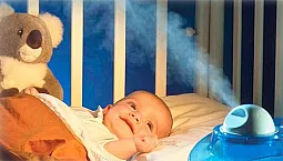 10 meilleurs humidificateurs à ultrasons