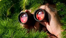 Top 10 des marques de jumelles
