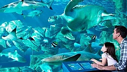 4 meilleurs océanariums à Moscou