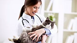 10 meilleures cliniques vétérinaires à Moscou