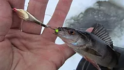 10 meilleurs spinners pour la perche