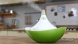 10 conseils pour choisir un humidificateur