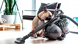 15 meilleurs aspirateurs pour poils d'animaux