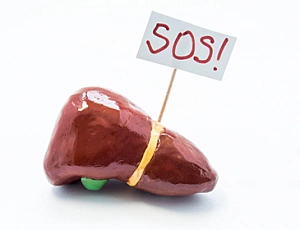 Les 15 meilleurs médicaments pour le foie de 2020