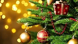 10 meilleures usines de décorations de Noël