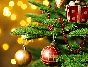 10 meilleures usines de décorations de Noël