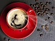 10 meilleures marques de café pour une machine à café