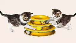 10 meilleurs jouets pour chats