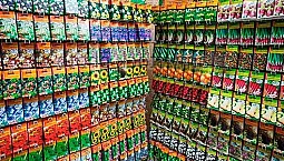 10 meilleurs magasins en ligne de graines et de semis