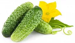 10 meilleures variétés de cornichons