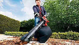 5 meilleurs aspirateurs de jardin