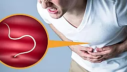 Top 20 des remèdes contre les parasites