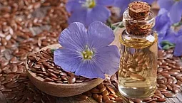 Top 10 des producteurs d'huile de lin