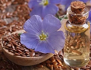 Top 10 des producteurs d'huile de lin