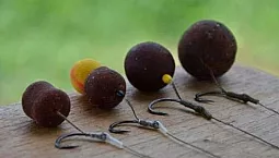 10 meilleures bouillettes pour la carpe