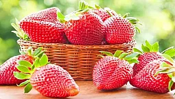 10 meilleures variétés de fraises pour la Sibérie