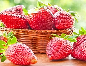 10 meilleures variétés de fraises pour la Sibérie