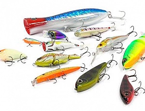 20 meilleurs wobblers