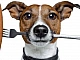 10 meilleurs aliments humides pour chiens