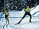 Les 10 meilleurs fabricants de skis de fond