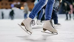 20 meilleurs patins