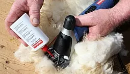 Top 5 des tondeuses à moutons